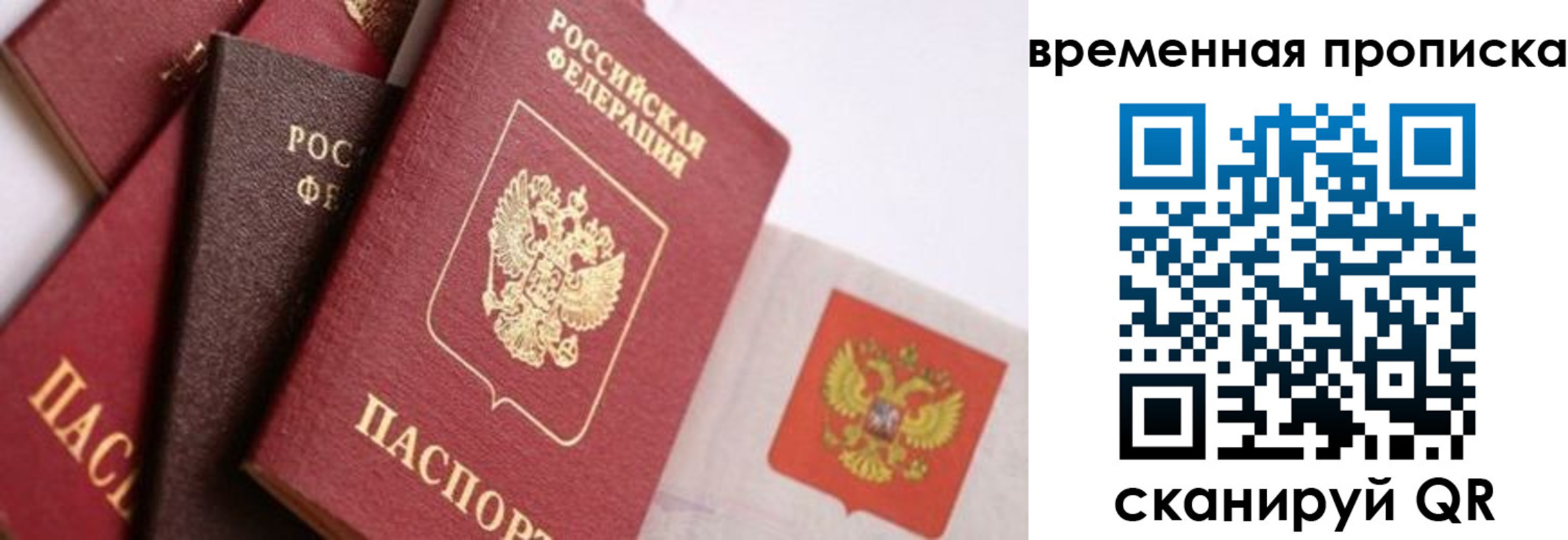 временная регистрация для всех в Ленинградской области
