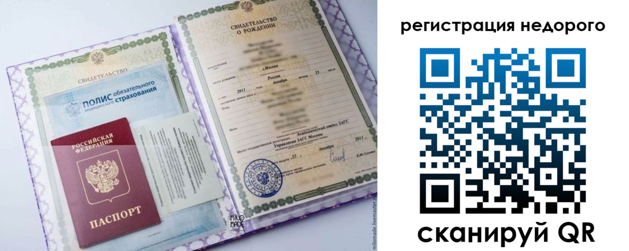 прописка паспорт в Ленинградской области